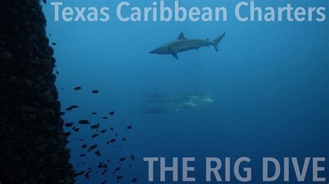 texas caribbean charters